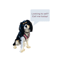 Sticker by Mackey Realty