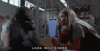 born to be wild monkey GIF by Warner Archive