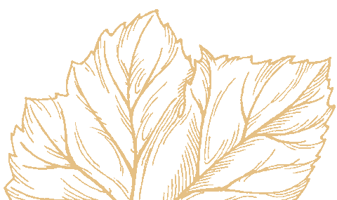 Cheers Gold Sticker by en vie champagne