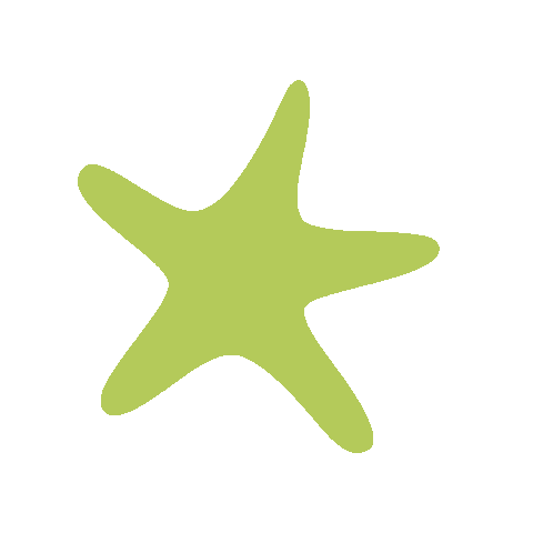 Star Sticker by FISCHER
