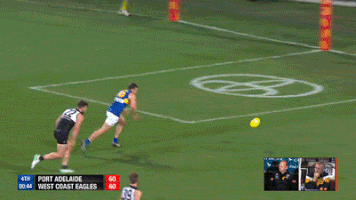 afl afl finals aussie rules australian football league GIF