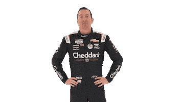 Kyle Busch Driver Sticker by Richard Childress Racing