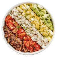 Bacon Salad Sticker by Major Food Group