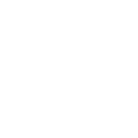 Ferry Homekong Sticker by Vive Hong Kong