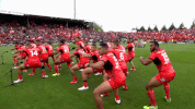 World Cup League GIF by NRL