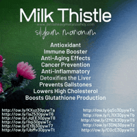 College Aging GIF by detoxheavymetalssafely