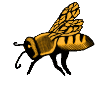 Flower Spring Sticker by Rag and Bone Meadery