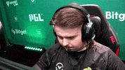 Lets Go Scream GIF by dignitas