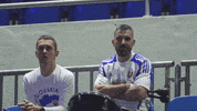 fedcup celebrate tennis fan drummer GIF