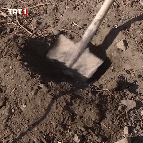 Building Die GIF by TRT