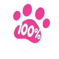 Cat Dog Sticker by Dogs and The City PH