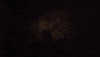 The Outtakes GIF by Bo Burnham