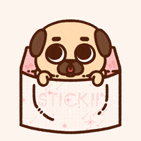Dog Puppy GIF by Puglie Pug