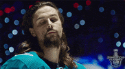 nhl sports hockey hair nhl GIF
