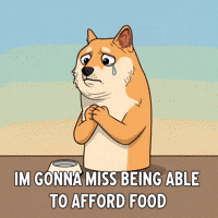 Sad Shiba Inu GIF by Doge Pound