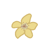 Girl Group Flower Sticker by Anne Wilson