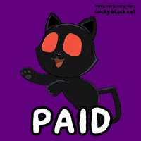 Glow Black Cat GIF by VeeFriends