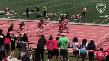 Arc Olympian GIF by All-Round Champion
