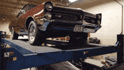 GIF by Rage Agency