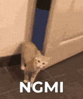 Not Gonna Make It Press Release GIF by Web3 Newswire