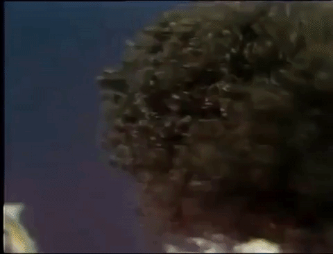 soul train bet GIF