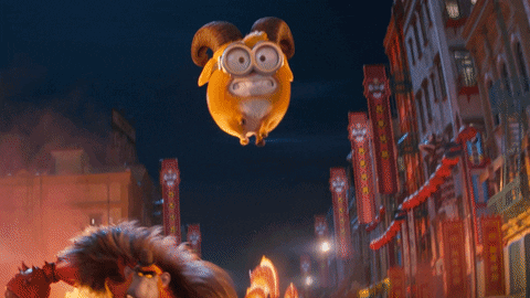 Kung Fu What GIF by Minions