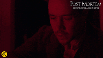 Post Mortem Film GIF by InterCom