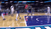 Charlotte Hornets Win GIF by NBA
