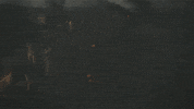 Zombies Zacksnyder GIF by NETFLIX