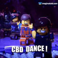 Happy Lego Movie GIF by Imaginal Biotech