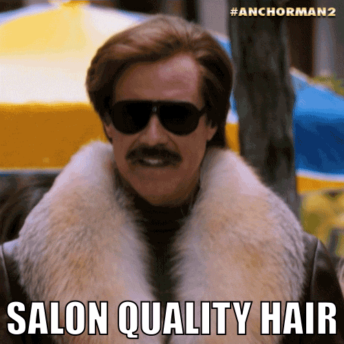 Will Ferrell Hair GIF by Anchorman Movie