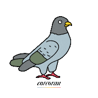 Bird Livewhoyouare Sticker by The Corcoran Group