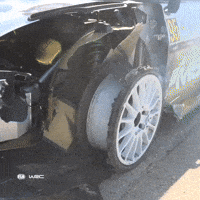 Game Over Problem GIF by FIA World Rally Championship