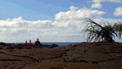 survivorau GIF by Australian Survivor