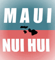 kklmaui  GIF