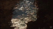 Monkey King GIF by Xbox