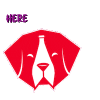 Trick Or Treat Party Sticker by BottleRover