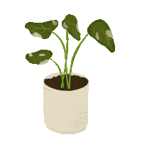 Plant Sticker
