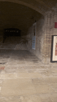 European Union Travel GIF