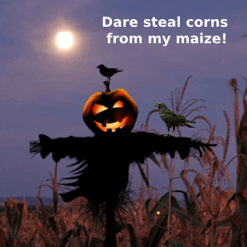 Halloween Autumn GIF