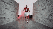 College Football GIF by Wisconsin Badgers