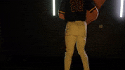 Baseball Juco GIF by Pearl River Athletics