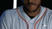 Houston Astros GIF by MLB