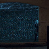 Horror Madelainepetsch GIF by Lionsgate