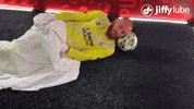 Republicfc Sacrepublic GIF by Sacramento Republic FC