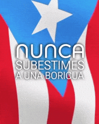 Puerto Rico Mupr GIF