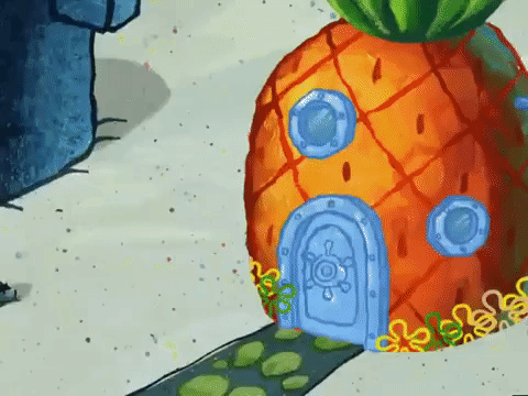 season 5 new digs GIF by SpongeBob SquarePants