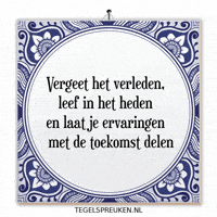 Humor Nl GIF by Tegelspreuken.nl