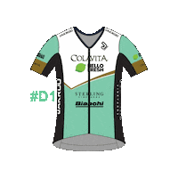 D1 Sticker by USA CRITS