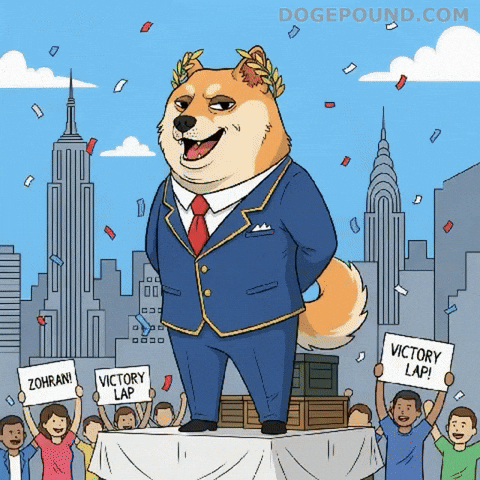 Happy New York City GIF by Doge Pound